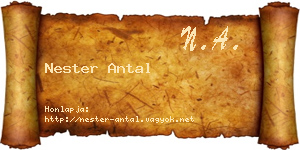 Nester Antal névjegykártya
